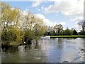 River Thames, Eton