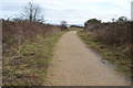 Footpath, Milton Common