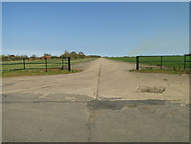 TM1781 : One of the runways at Thorpe Abbotts by Adrian S Pye