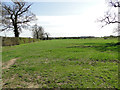 Fields and hedgerows