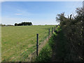 Footpath from Elsenham