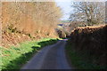 West Somerset : Thorne Lane