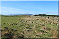 Southern Upland Way near Dalry