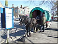 SP1620 : Shire Horse, Bourton on the Water by Paul Gillett