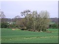 The Barrow Hill Arm of the Charnwood Forest Canal