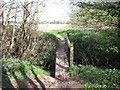 Footbridge over a drain by Black Brook