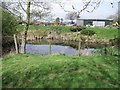 Pond at Fishpool Grange