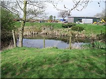 SK4519 : Pond at Fishpool Grange by Ian Calderwood