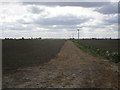 View over Billinghay Dales