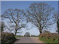 Entrance, Barford Park