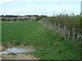 Field and hedgerow east of Shield Green