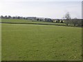 Pasture at Pightley Farm