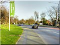 SU9978 : A4 London Road, Kedermister Park by David Dixon