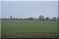 Farmland by Barnham Broom Rd