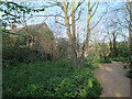 Cobourg Road nature reserve, Peckham