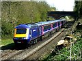 HST 125 (High Speed Train) leaving to the east, Savernake, Wiltshire