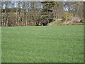 Disused aqueduct near West Wellbank