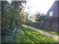 Path into Chatsworth Woods, Ealing