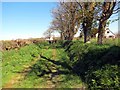 Llwybr Ffarm Mount Pleasant Farm Path