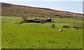 SD5451 : Isle of Skye Farm by Peter McDermott