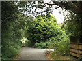 Maxstoke Lane becomes a footpath, going north out of Meriden