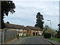 Rochester Avenue, Canterbury