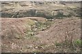 Gully leading to River Cnaik, from B827