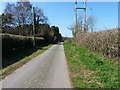 Along the lane near Sandybury Farm