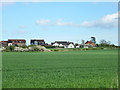 Houses, South Fambridge