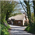 Country Lane, Wexcombe, Wiltshire