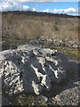 SD4972 : Limestone pavement, Warton Crag by Karl and Ali