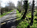 Liscabble Road, Moyle