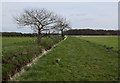 Footpath parallel to the Transpennine Way