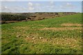 Above the Torridge valley