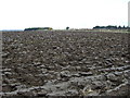 Ploughed field west of Hebron