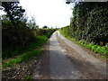 Looking south on Nutbane Lane from footpath junction