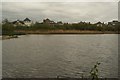 View of houses on Wyatt Drive from one of the hides in the London Wetlands Centre