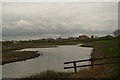 View of houses on Wyatt Drive from one of the hides in the London Wetlands Centre #3