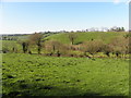 Magheralough Townland