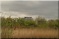 View of Charing Cross Hospital from the London Wetlands Centre #4