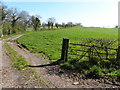 An open field, Kennogue