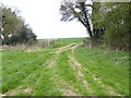 Junction of footpath and bridleway at junction of Penton Copse