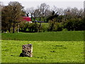 Standing stone, Lisnahanna