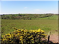 Lisnahanna Townland