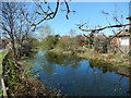 Grantham Canal, Lady Bay