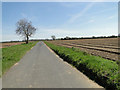 Un-named country road north of Tunstall