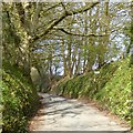 Ridge Road in woodland with footpath sign