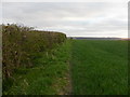 Boldon Hills: Approaching the summit