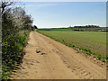 Sandy soil on track and field