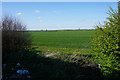 Flat farmland near Foston